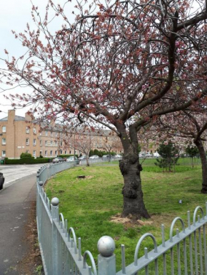 Large 3 bedroom apartment/flat in ideal location
